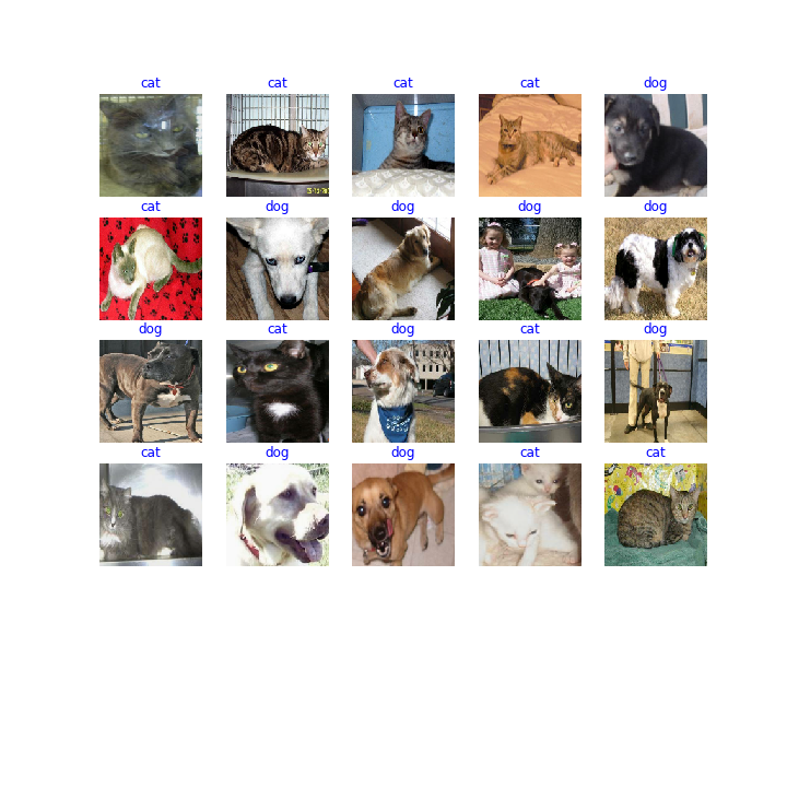 Cats and Dogs image classification